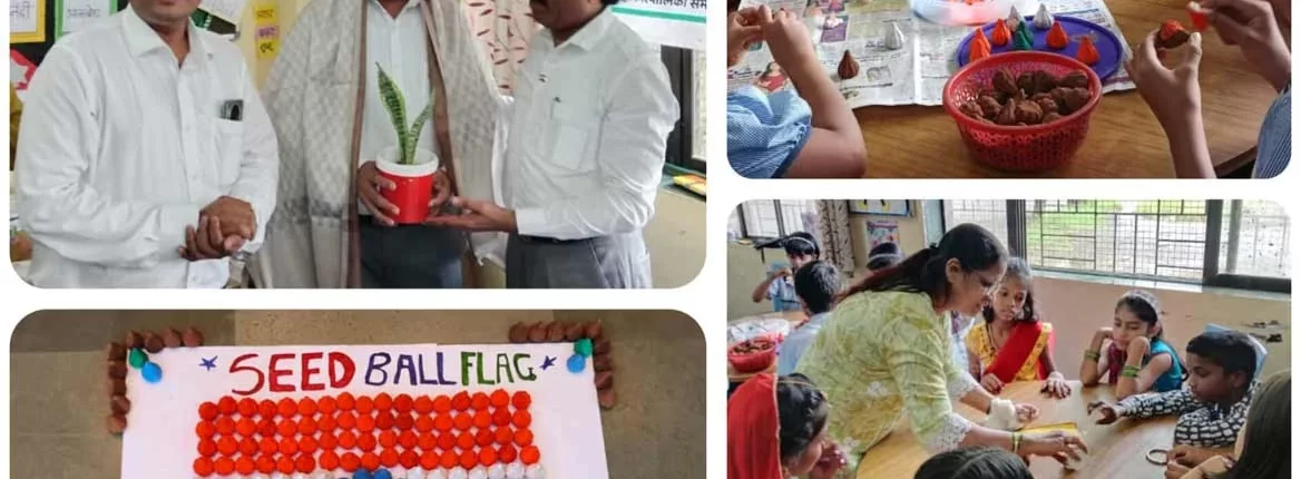 बीजमोदक तिरंगा